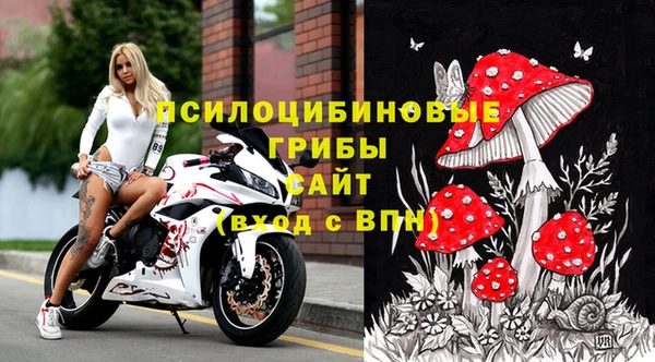 Альфа ПВП Балахна