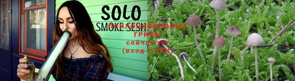 шишки Армянск