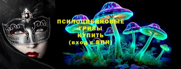 PSILOCYBIN Баксан